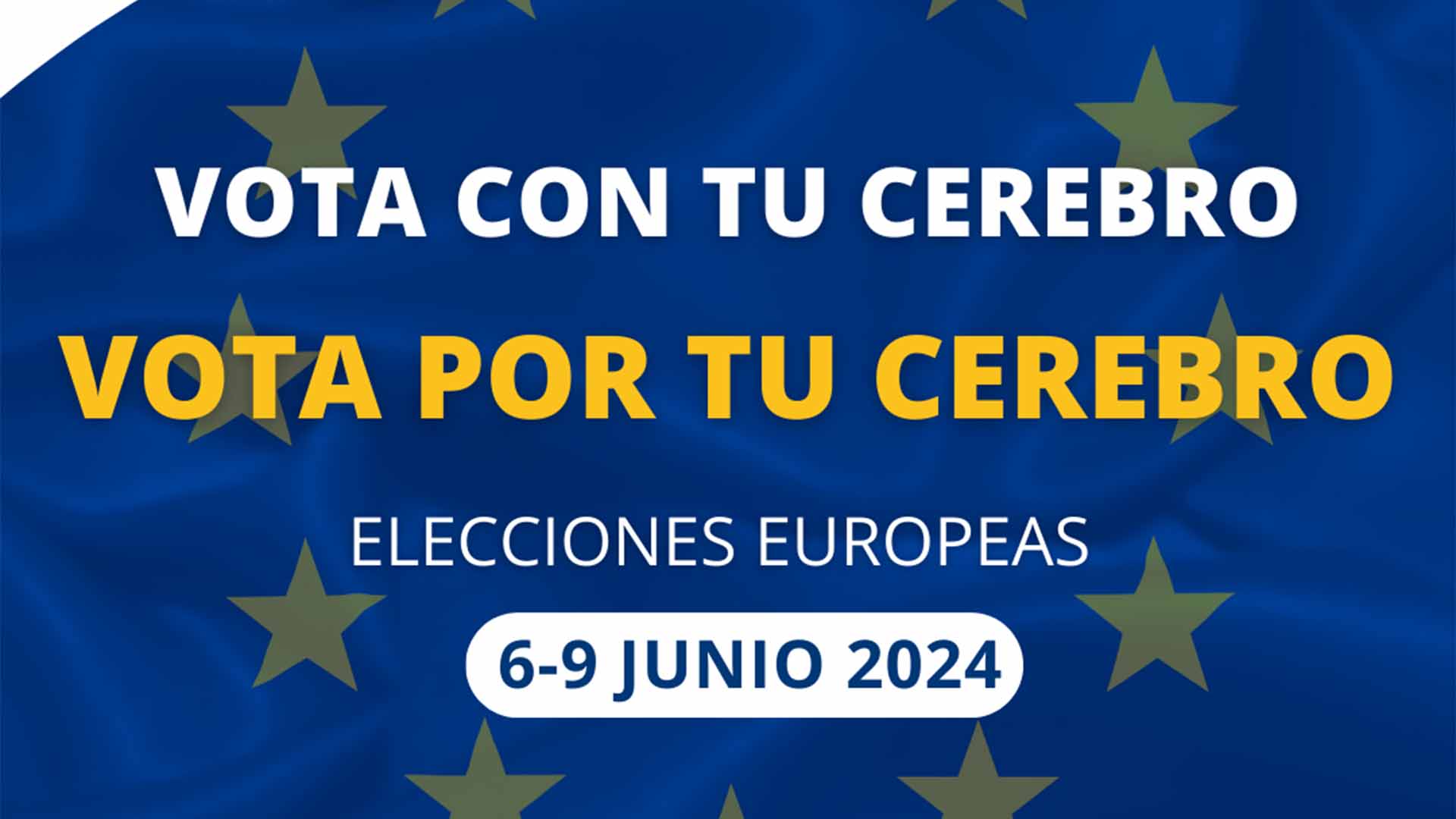 Lee más sobre el artículo Las elecciones europeas están a la vuelta de la esquina. Descubre por qué las familias afectadas por la EH deberíamos ir a votar